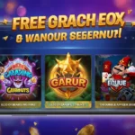 Pakistani player checking earning features on gaming app