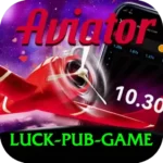 Online gaming app features with slots bonuses and secure system