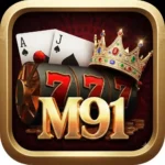 M91 Game