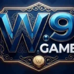 W9 Game logo