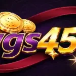WGs456 Game logo